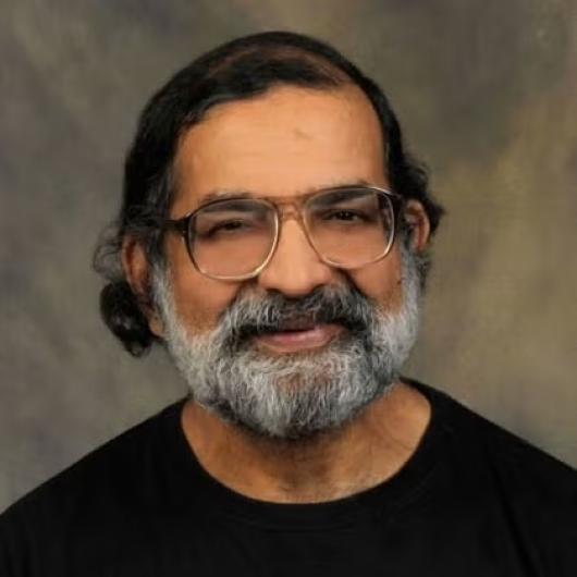 Roy Choudhury