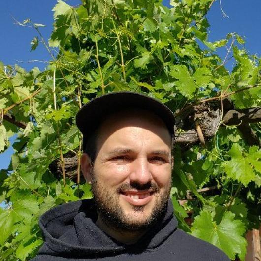 Ulises Pereira-Obilinovic
